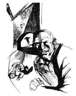 19254