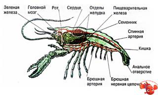 20972