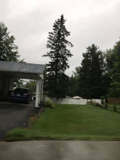 25241